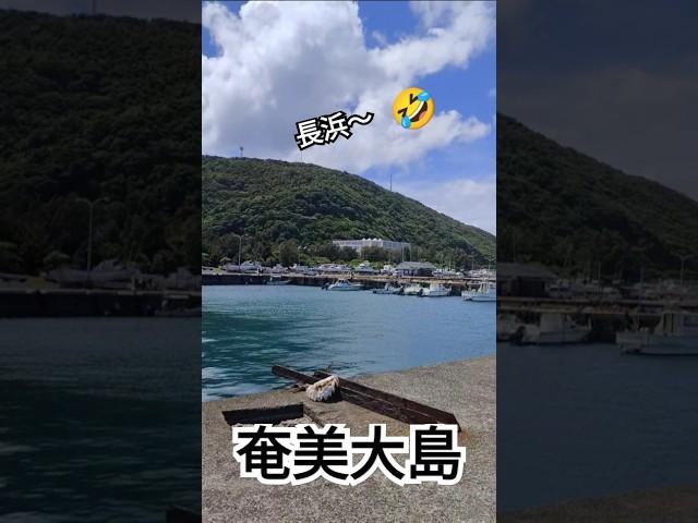 奄美大島　長浜から見た景色(⁠・⁠∀⁠・⁠)2025年6月10日#ごまぷる