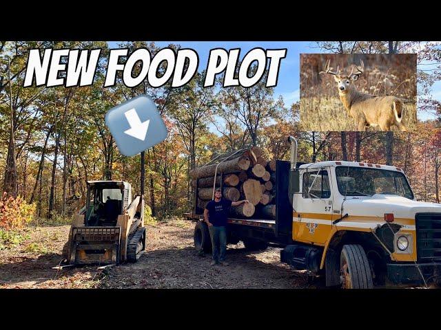 LOGGING A FOOD PLOT IN TIME FOR HUNTING SEASON