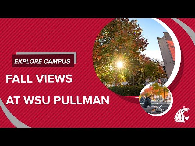 Fall Views at WSU Pullman