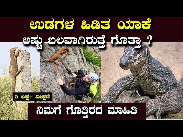 ಉಡದ ಬಗ್ಗೆ ಯಾರು ನಿಮಗೆ ಇದನ್ನ ಹೇಳಿರಲ್ಲ | Facts about Monitor Lizard | Kiran M | Chethana Academy