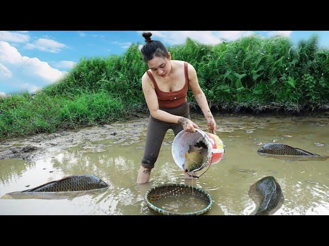 Pumping water to the fields to catch fish in the pond, visiting disabled brother HARVEST, SURVIVAL