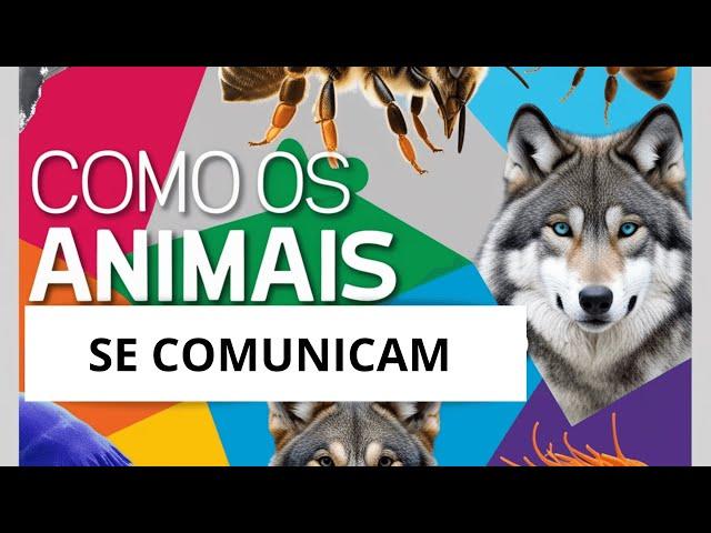 Você sabia que os animais conversam?