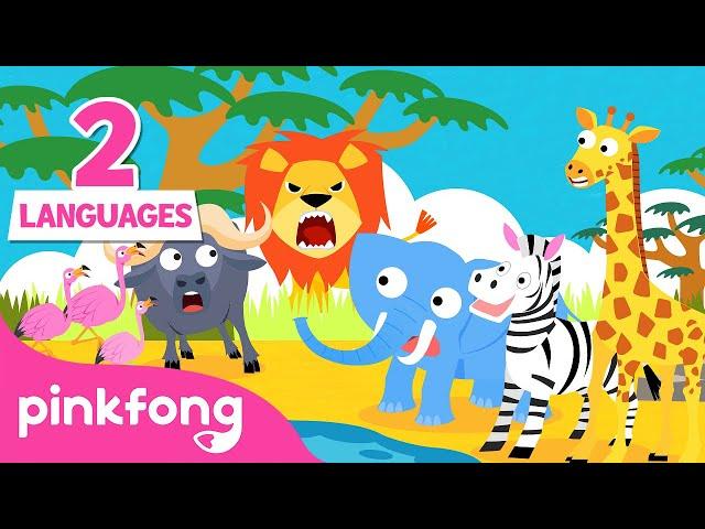 Hakuna Matata in Hindi & English | हकूना मटाटा | Animal Songs | Hindi Rhymes for kids | Pinkfong