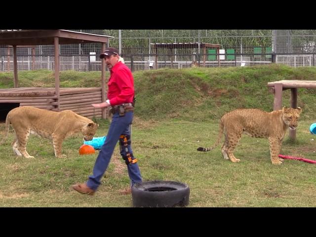 Joe Exotic's Video Message to Trump - Day 29