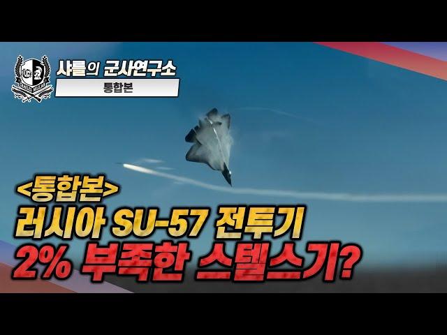 [통합본] 러시아 SU-57 전투기! 2% 부족한 스텔스기?#샤를세환#이세환#Su57