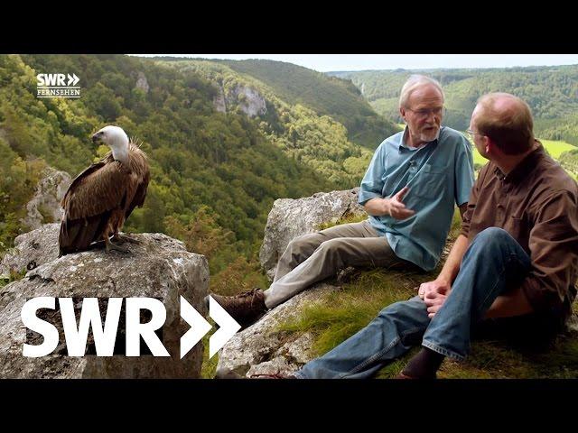 Spuren im Stein - Die Geschichte der Schwäbischen Alb | SWR Geschichte & Entdeckungen