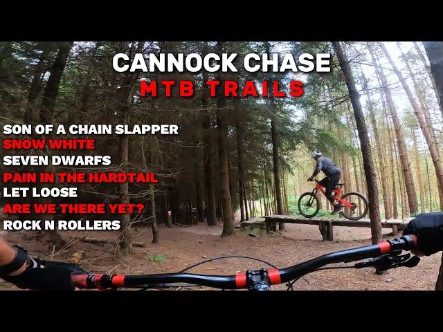 CANNOCK CHASE MTB - FOLLOW THE DOG