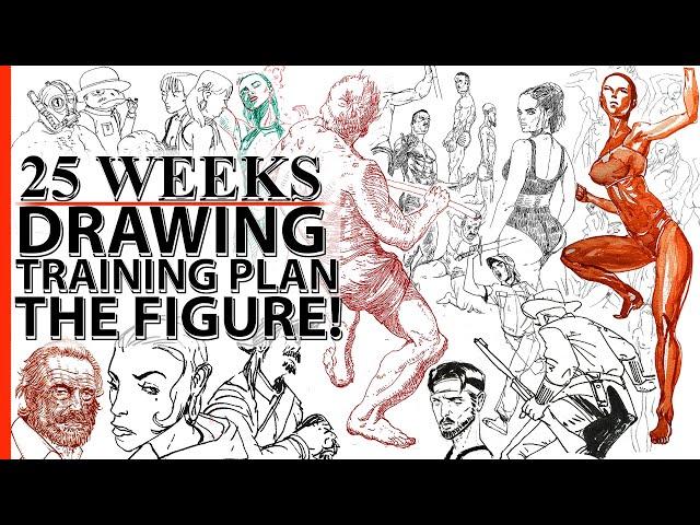 25 WEEK DRAWING TRAINING PLAN FIGURE