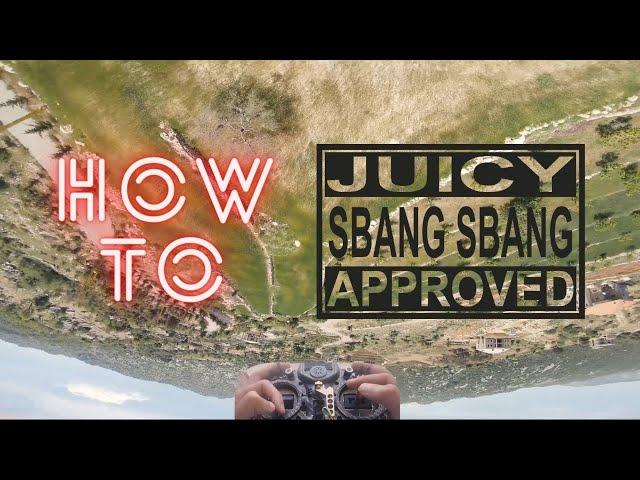 Introduction to Juicy Sbang Sbang || Beginners Tutorial ||