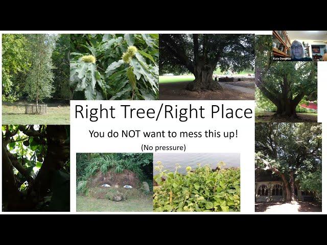 Right Tree, Right Place: TreeSteward Training Oct. 24, 2023