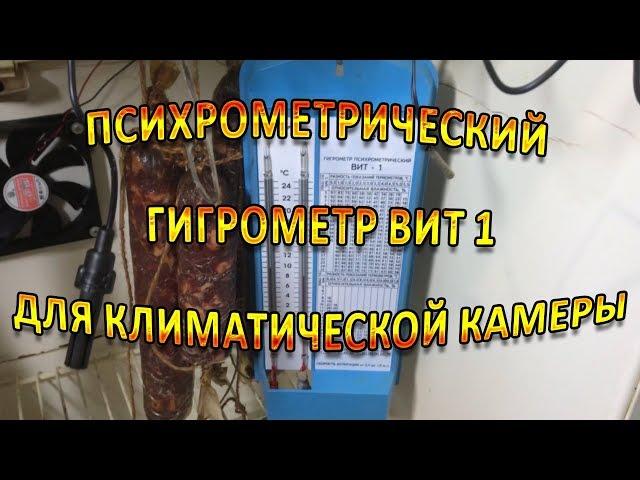 Гигрометр Вит 1