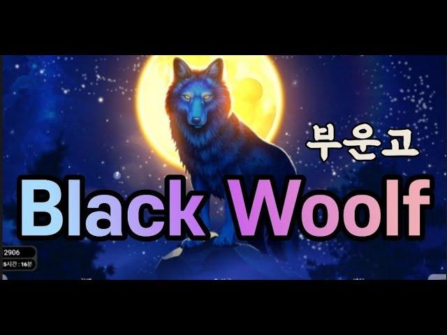 ^부운고^블랙울프 BLACK WOOLF 생활슬롯영상!!!