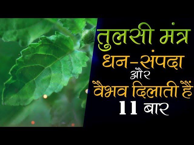 Tulsi Mantra With Lyrics 11 Times | Vedic Mantra Chanting | Tulsi Mantra तुलसी पूजा मंत्र