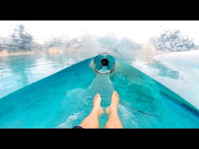 Dolphin Plunge : Aquarium Water Slide : HD POV - Aquatica Water Park (Orlando, Florida)