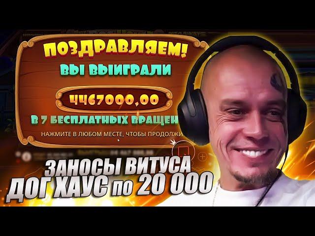 ВИТУС ЗАНОСЫ в DOG HOUSE, ZEUS vs HADES / ЗАНОС ВИТУСА по 20к