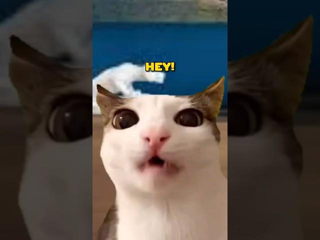 Google account Logic (Cat Meme) @dude.dans_ #shorts