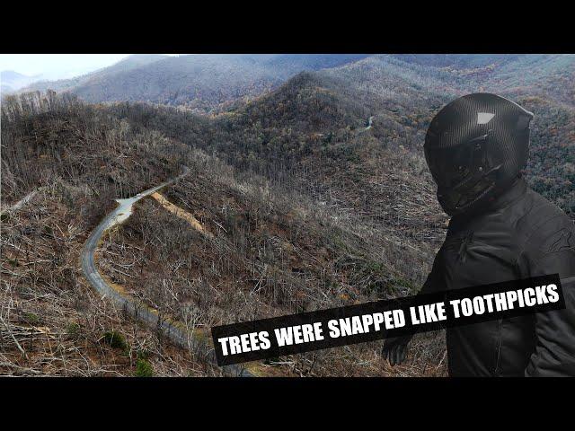 I Witnessed the WORST Storm Damage at the Blue Ridge Parkway!