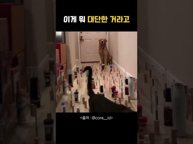 이게 뭐 대단한 거라고