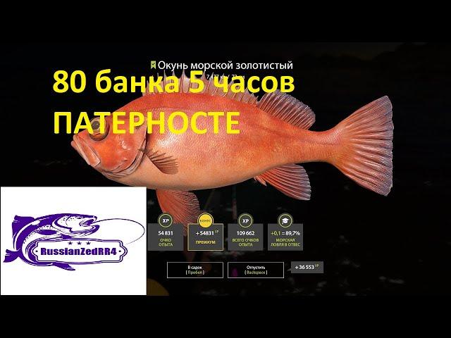 Норвежское море  Патерностер   80 банка