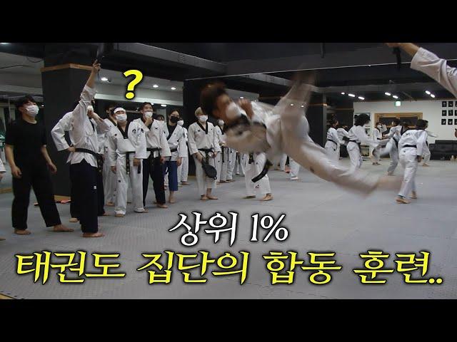 국내 최고의 팀들의 만남 [태권한류&미르메] Joint training with the best Taekwondo teams in Korea.