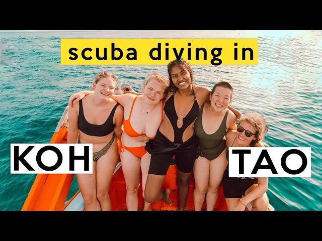 The COMPLETE GUIDE to Scuba diving in Koh Tao Thailand