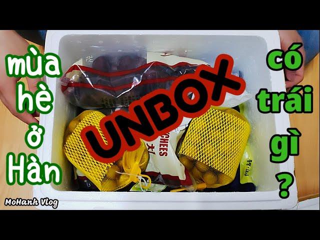 Unbox thùng trái cây đông lạnh| Sống ở Hàn có gì vui? MoHanh Vlog