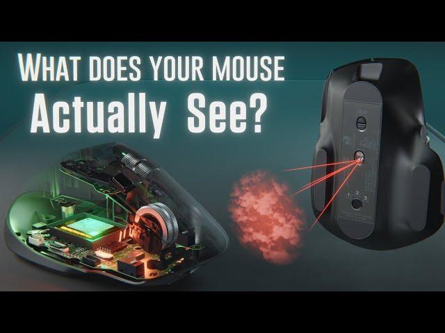 How does a Mouse know when you move it?  ||  How Does a Computer Mouse Work?