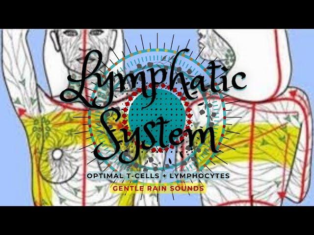  Enhanced T-Cells and Lymphocytes ~ Self-Lymph Drainage + White Blood Cells ~ Rain Sounds