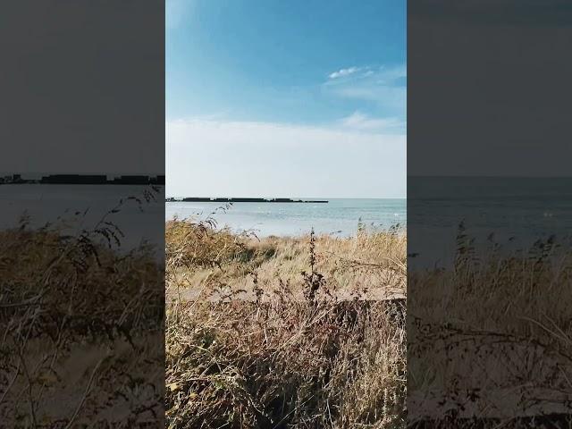 Бердянськ прекрасний при будь якому освітленні, впізнаєте місце?