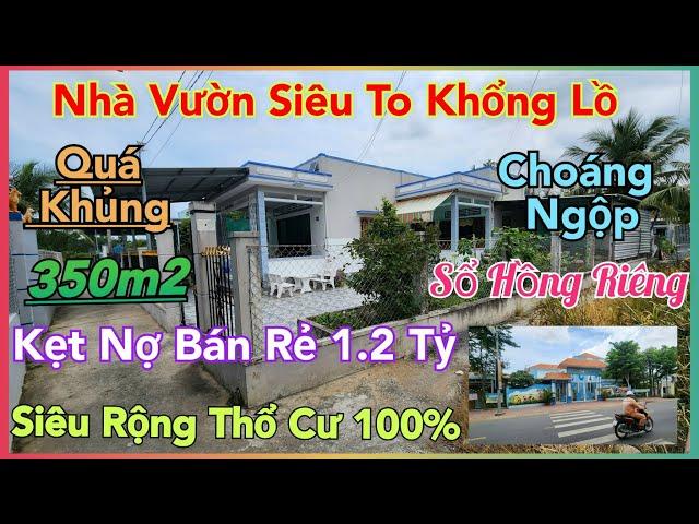 Quá Sức Tưởng Tượng_Nhà Vườn To Rộng Bán Cực Rẻ 1,2 Tỷ (13x27) Thổ Cư 100% Sổ Hồng Riêng Gần Quận 8.