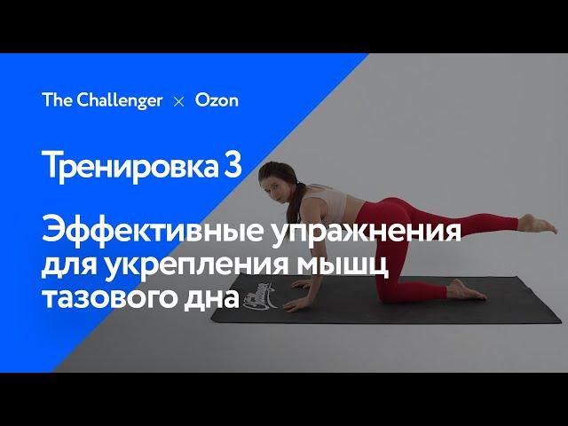 Эффективные упражнения для укрепления мышц тазового дна