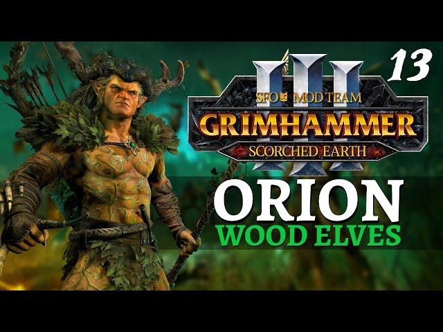 SAND & SKULLSTORM | SFO Immortal Empires - Total War: Warhammer 3 - Wood Elves - Orion #13