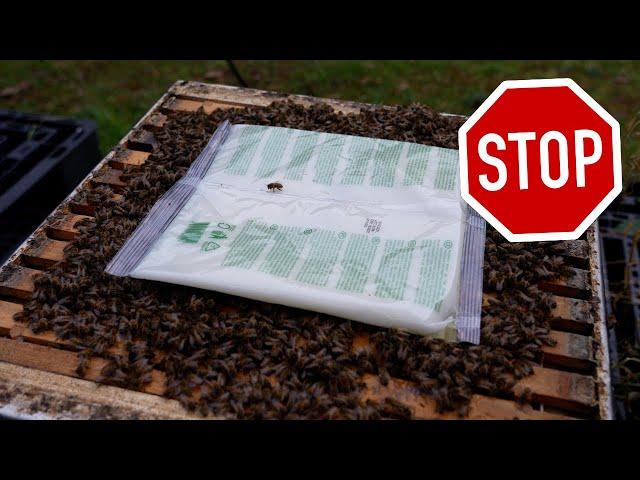 Don't Make This HUGE Beekeeping Error!