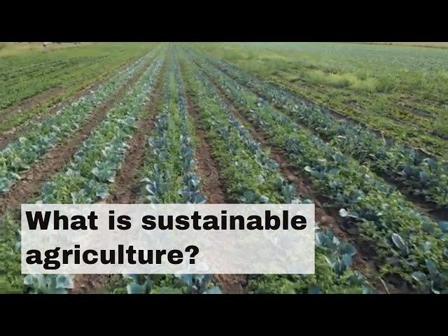 What is sustainable agriculture?