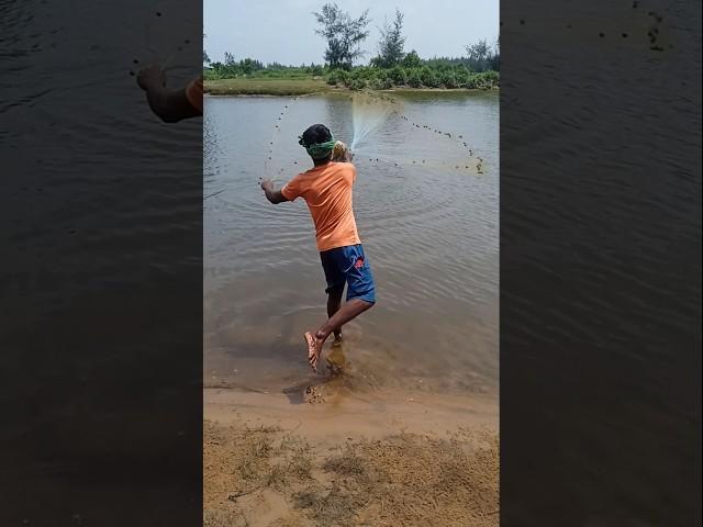 Amazing Big cast net fishing video