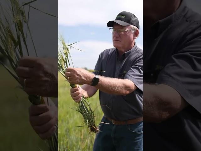 Your Ontario Grain Farmers