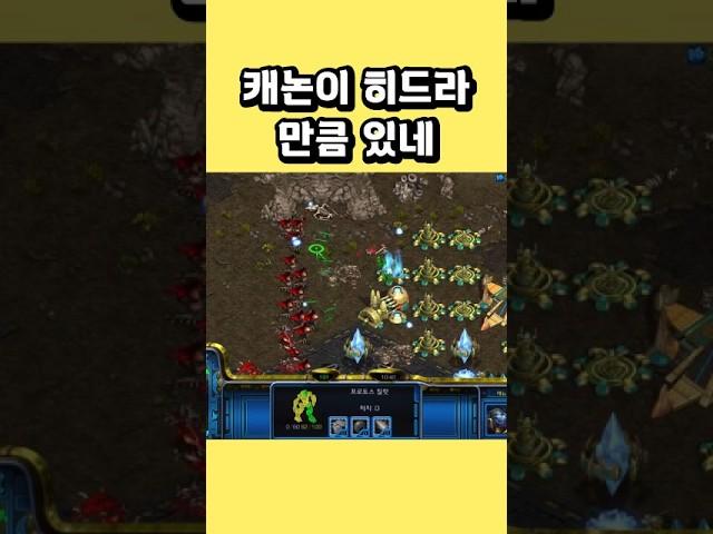 캐논이 히드라만큼 있네 #스타크래프트 #프로토스 #래더 #전략 #빌드 #캐논