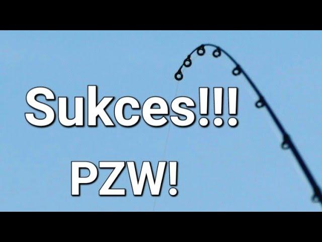 Niesamowity Finał na Wodzie PZW! Od Porażki do Wielkiego Sukcesu! Wędkarstwo Method Feeder PZW