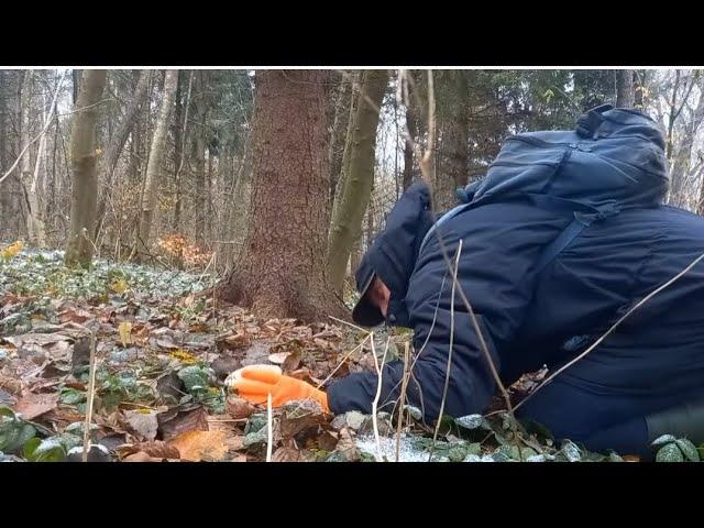 The first snow, frost and cool hats peeking out from under the thick snow of the forest in the wild