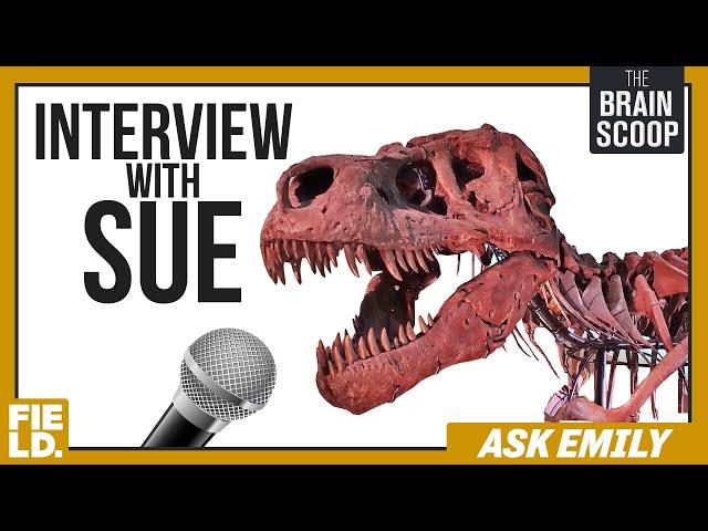 Interview with SUE! | Ask Emily
