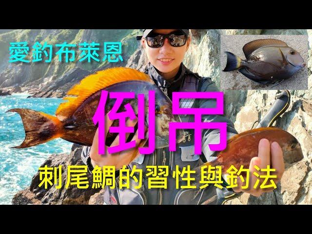 (10) 倒吊的習性與釣法【知魚不龜系列】