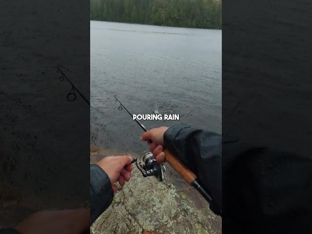 100% Worth It