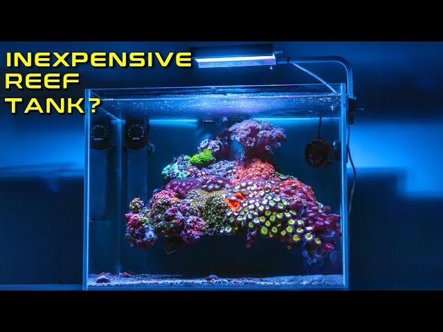 INEXPENSIVE REEF TANK. IS THIS POSSIBLE?