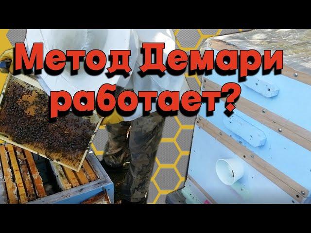 Результат вывода из роевого без потери пчел.- Метод Демари