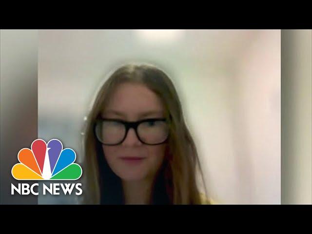 Anna Sorokin Gives Interview From Inside ICE Detention Facility