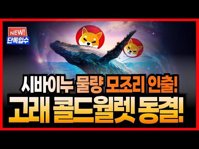 [시바이누 코인] 거래소 물량 모조리 인출됐다! 고래들 콜드월렛에 동결! 적어도 2000배는 올라간다