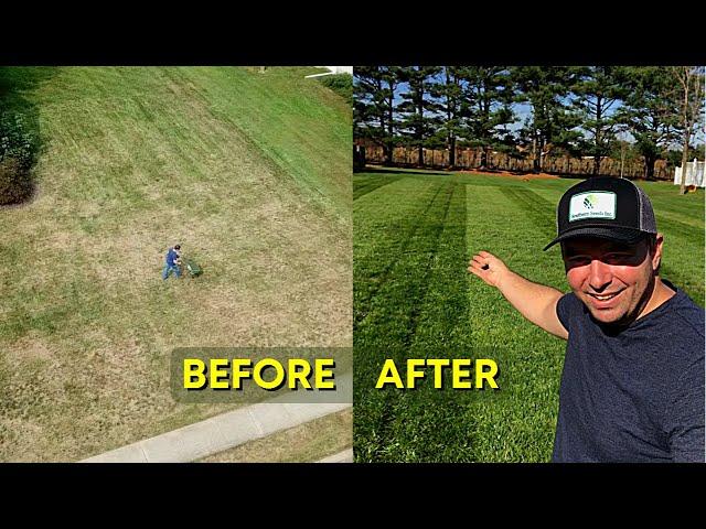 Use Milorganite for Pre-Germinating Seed // Final Results!