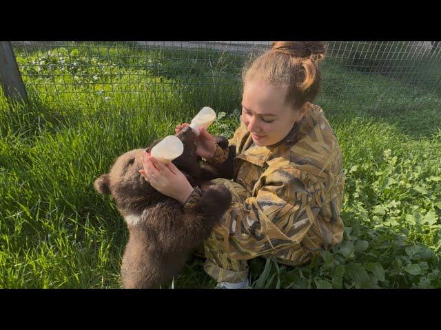 У наших мимимишек НОВЫЕ ВОЛЬЕРЫ и прогулочный, и закрытый! Алина просто мишкина мама)))
