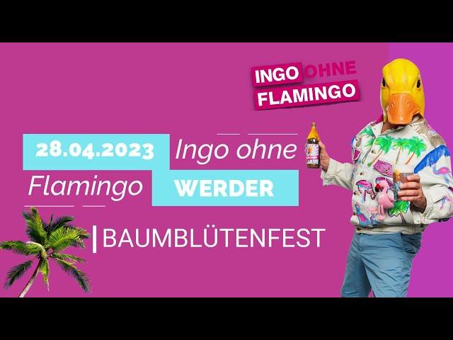 Ingo ohne Flamingo – Baumblütenfest Werder 2023