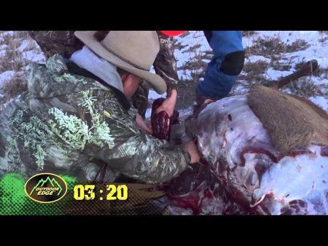 Fred Eichler: How to quarter an Elk in less than 10 min. Gutless field dressing